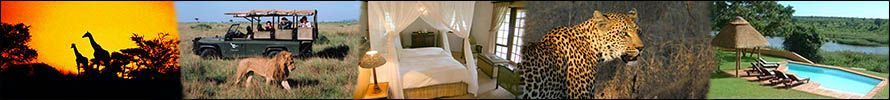 Luxury African Safari