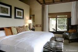 Londolozi Varty Camp